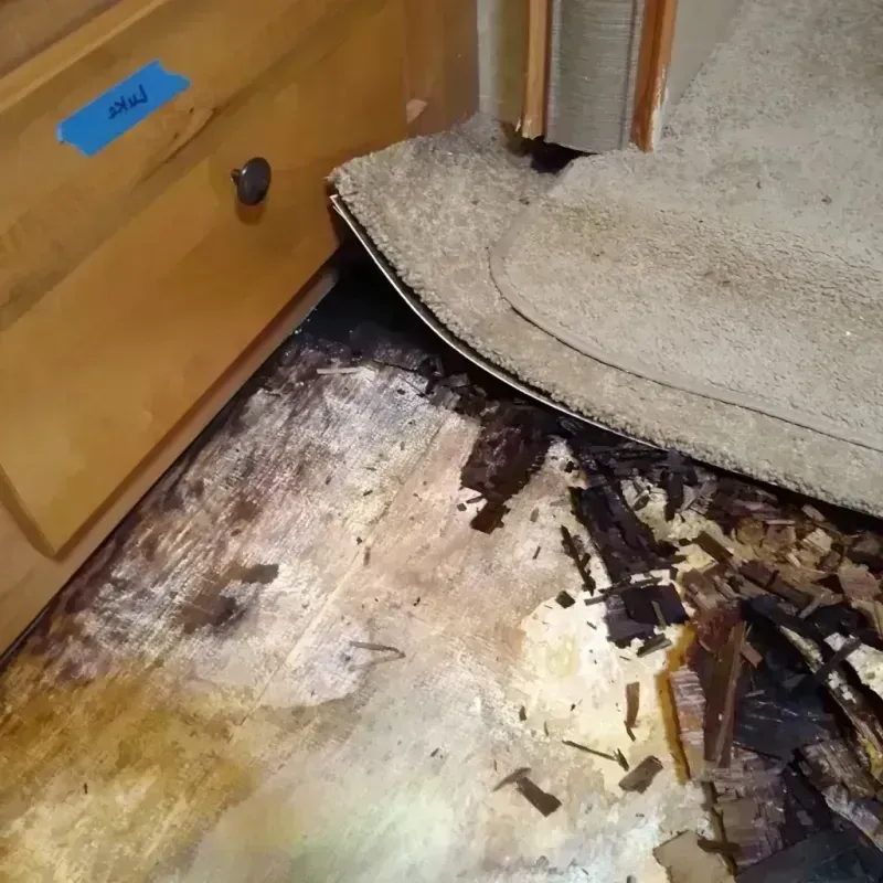 Wood Floor Water Damage in Landing, NJ